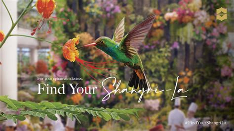 shangri la echtgeld|Find Your Shangri.